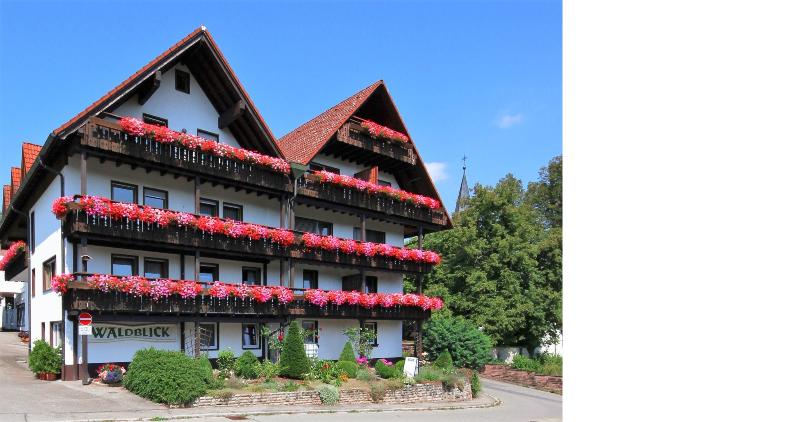 Hotel Waldblick BSR - Genel