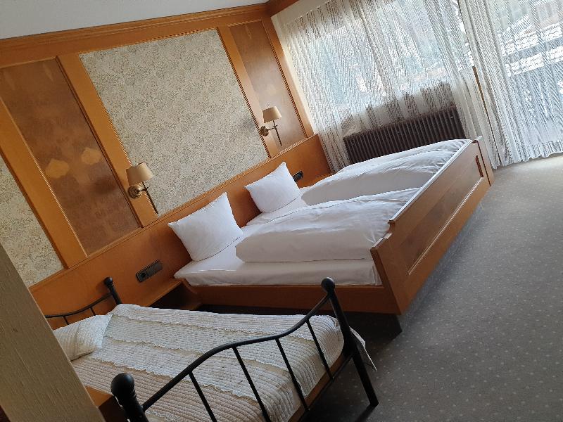Hotel Waldblick BSR - Oda