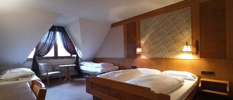 Hotel Waldblick BSR - Oda
