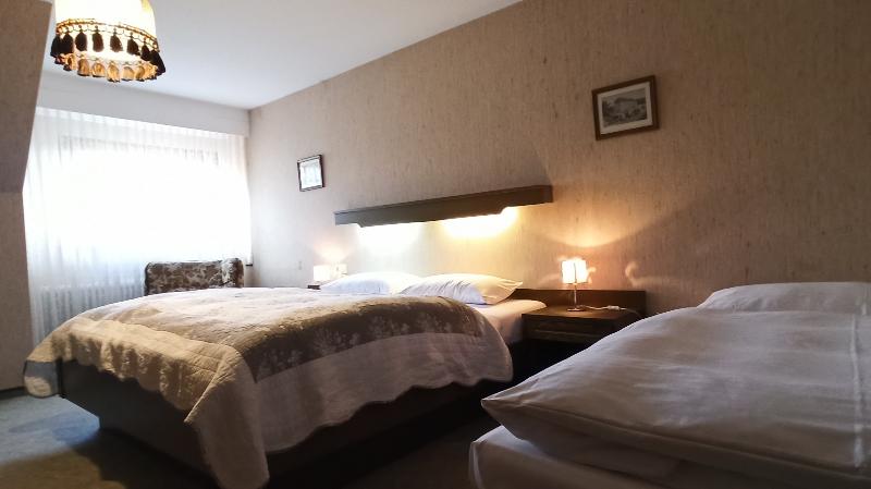 Hotel Waldblick BSR - Oda