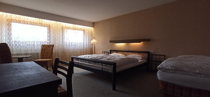 Hotel Waldblick BSR - Oda