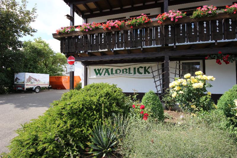 Hotel Waldblick BSR - Restoran