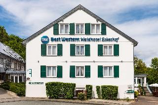 BEST WESTERN Waldhotel Eskeshof fotoÄŸrafÄ±