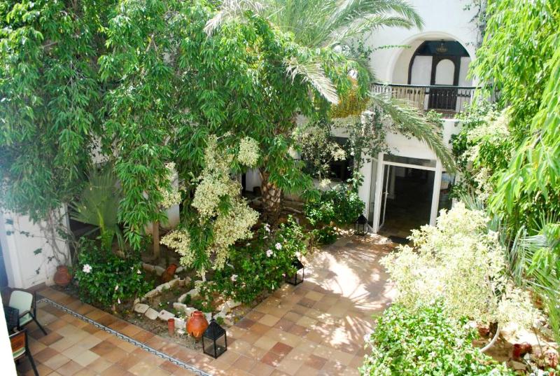 Dar El Bhar - Teras