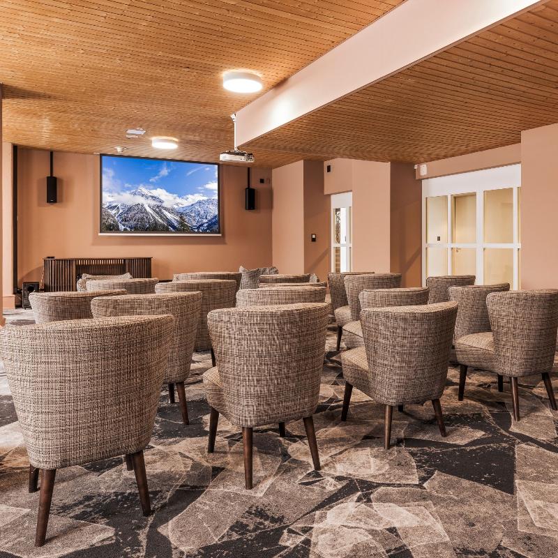 Hotel Altein Arosa, a Faern Collection Resort - Toplantı