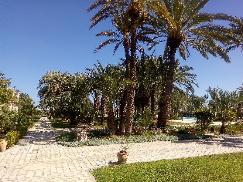 Zita Beach Resort - Genel