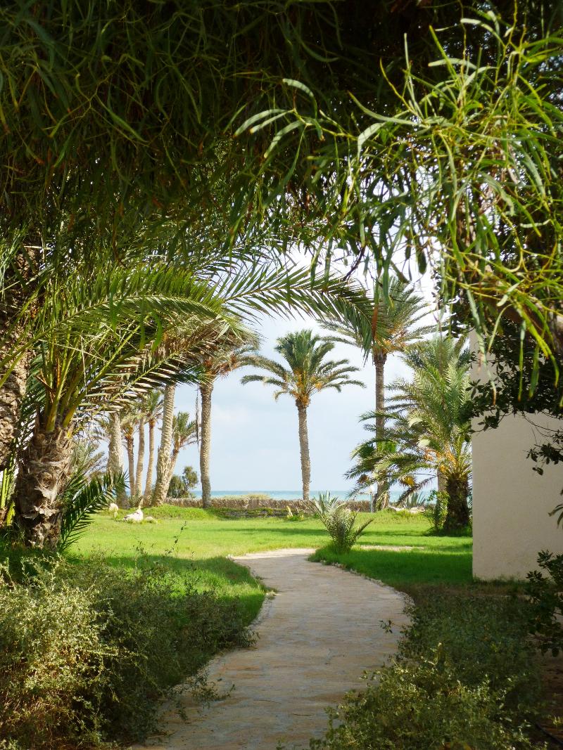 Zita Beach Resort - Genel