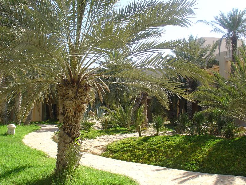 Zita Beach Resort - Genel