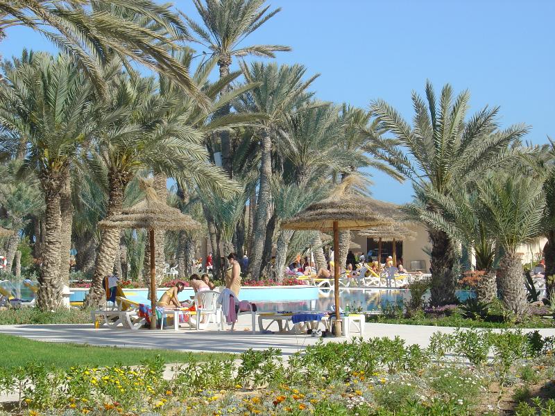 Zita Beach Resort - Havuz