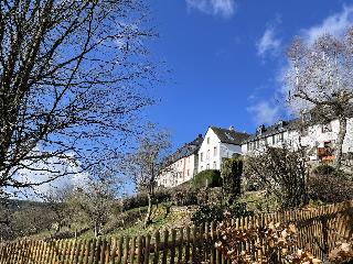 Burghaus & Villa Kronenburg otel fotoğrafı