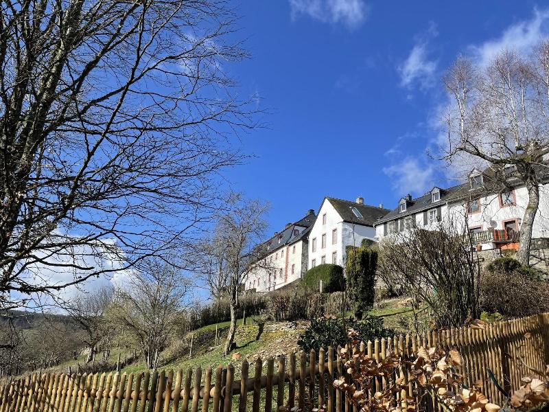 Burghaus & Villa Kronenburg - Genel