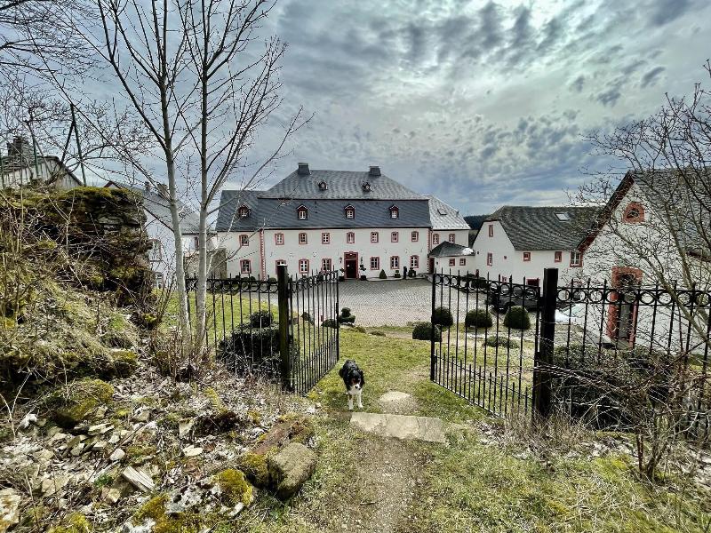 Burghaus & Villa Kronenburg - Genel