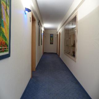 City Deutsches Haus fotoÄŸrafÄ±