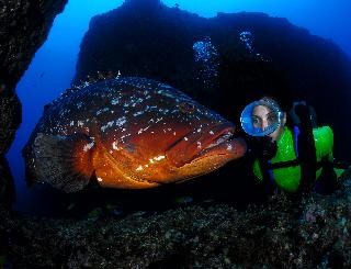 Dom Pedro Garajau fotoÄŸrafÄ±
