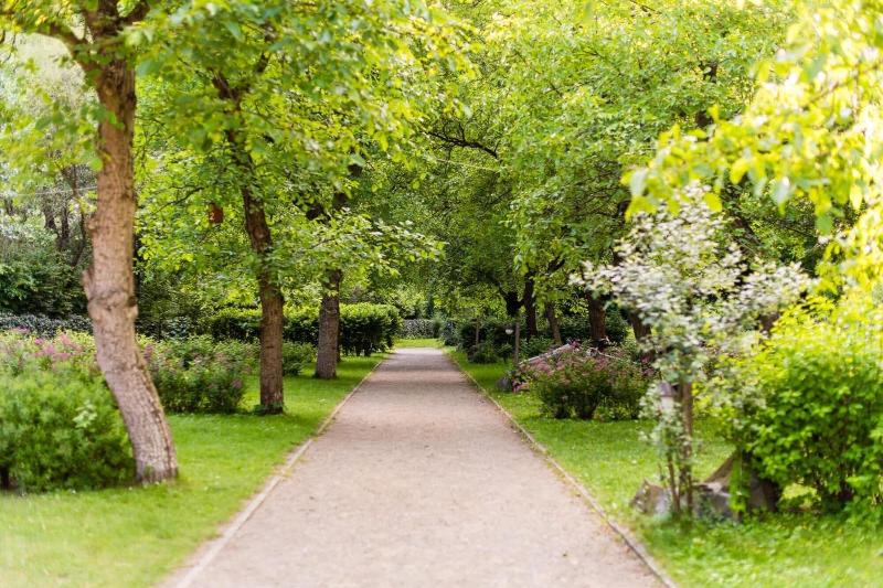 Öko-Park Panzió-Kemping - Genel