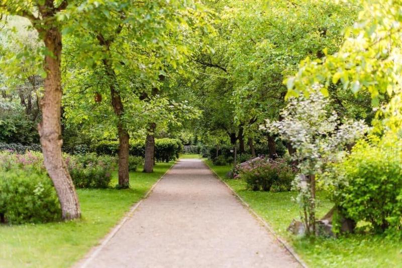 Öko-Park Panzió-Kemping - Genel