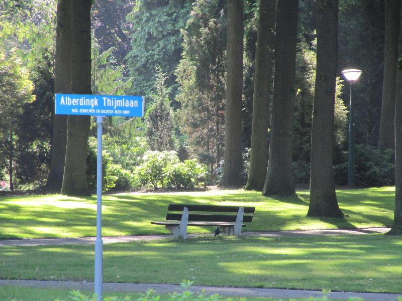 Parkzicht - Genel