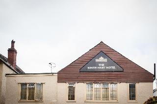 White Hart fotoÄŸrafÄ±