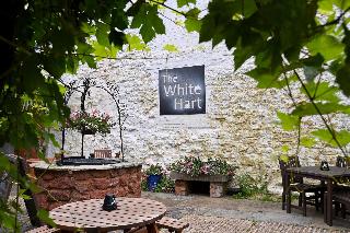 White Hart fotoÄŸrafÄ±