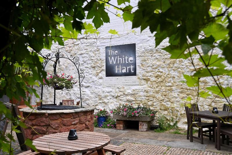 White Hart - Teras