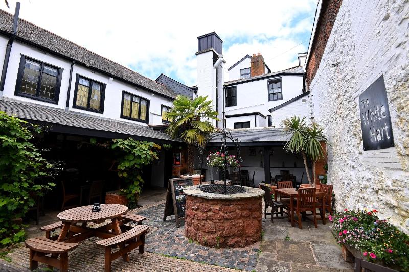 White Hart - Teras