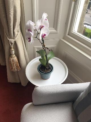 Sheridan Guest House fotoÄŸrafÄ±