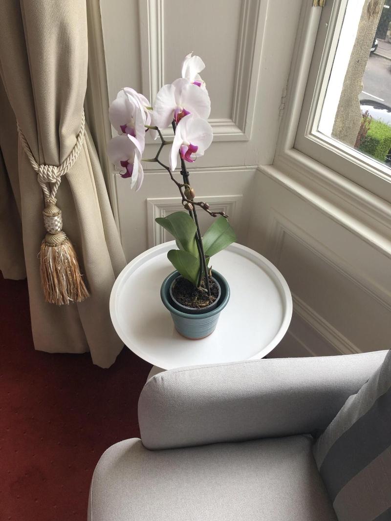 Sheridan Guest House - Lobi