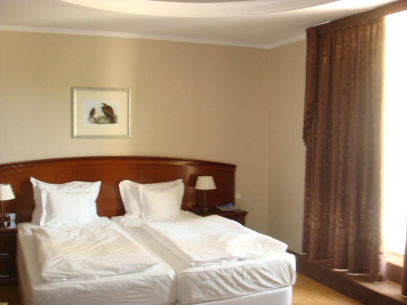 La Contessa Schlosshotel - Oda