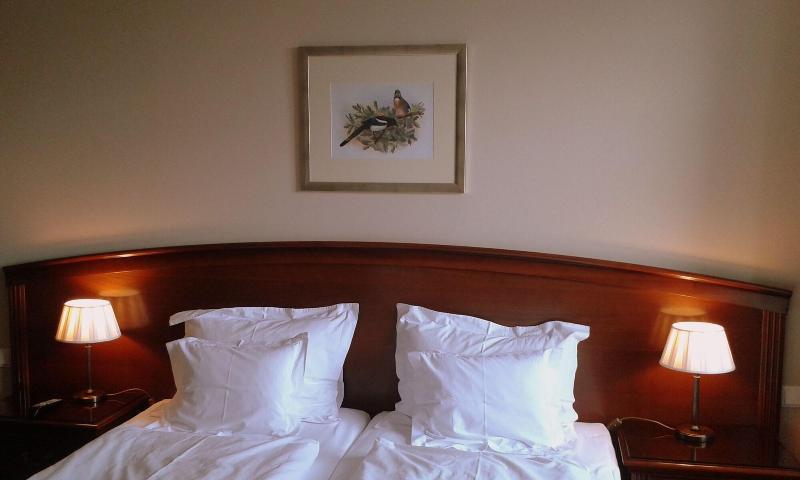 La Contessa Schlosshotel - Oda