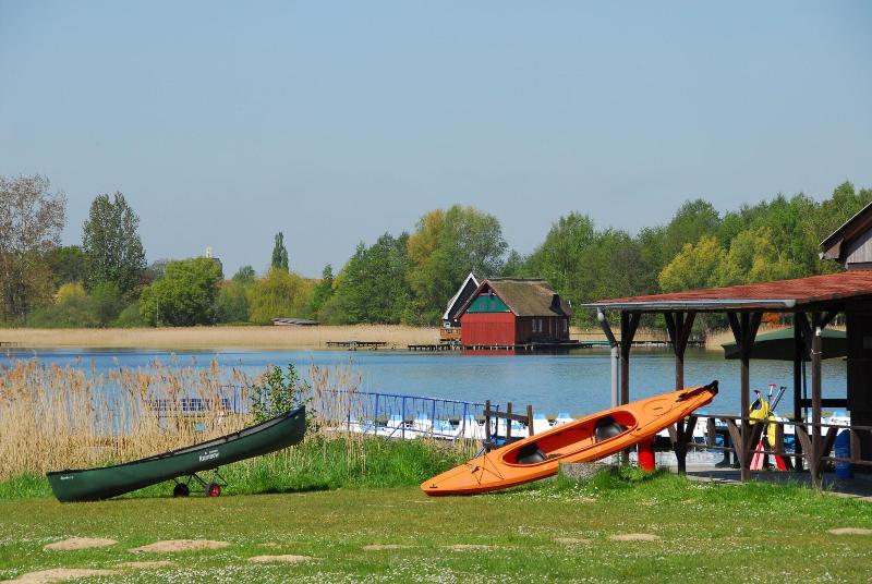 Strandhaus am Inselsee - Aktivite