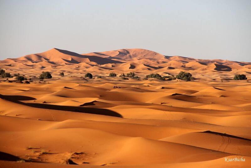 Ksar Bicha - Genel