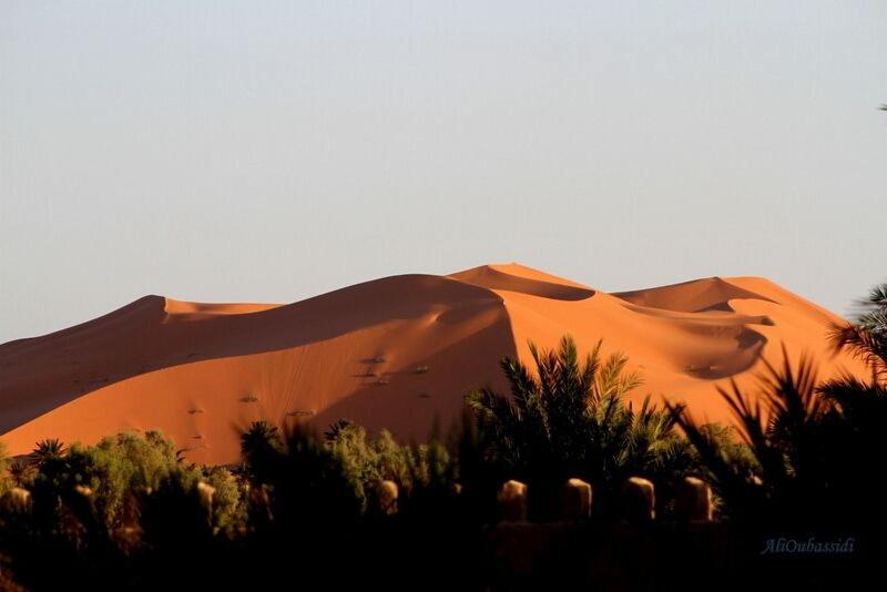 Ksar Bicha - Genel