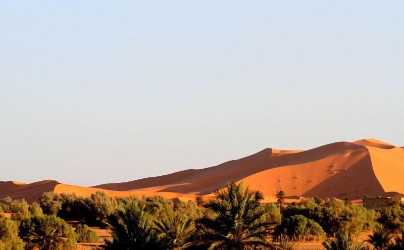 Ksar Bicha - Genel