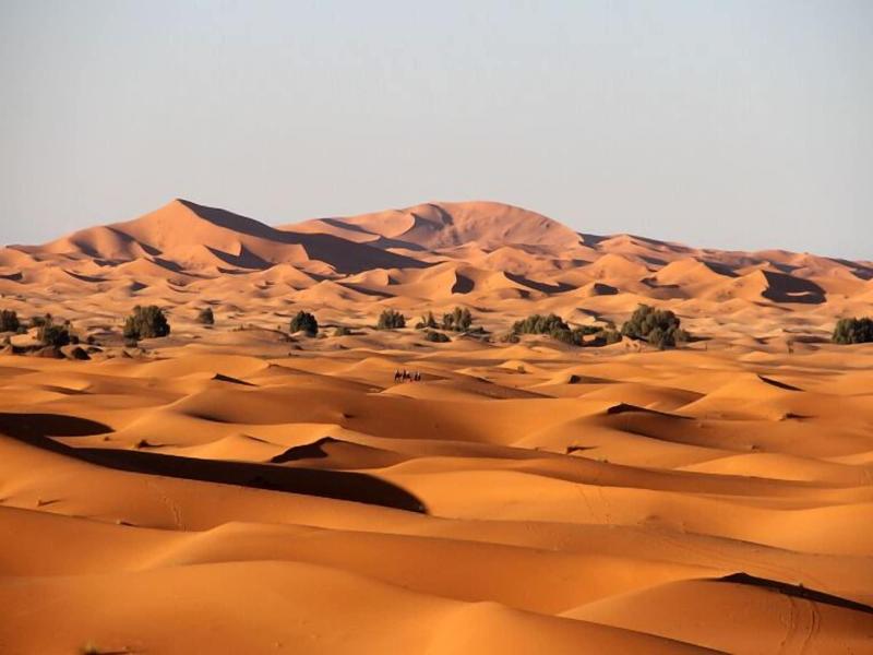 Ksar Bicha - Genel