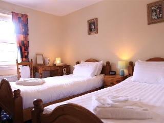 Twin Lions Hotel fotoÄŸrafÄ±