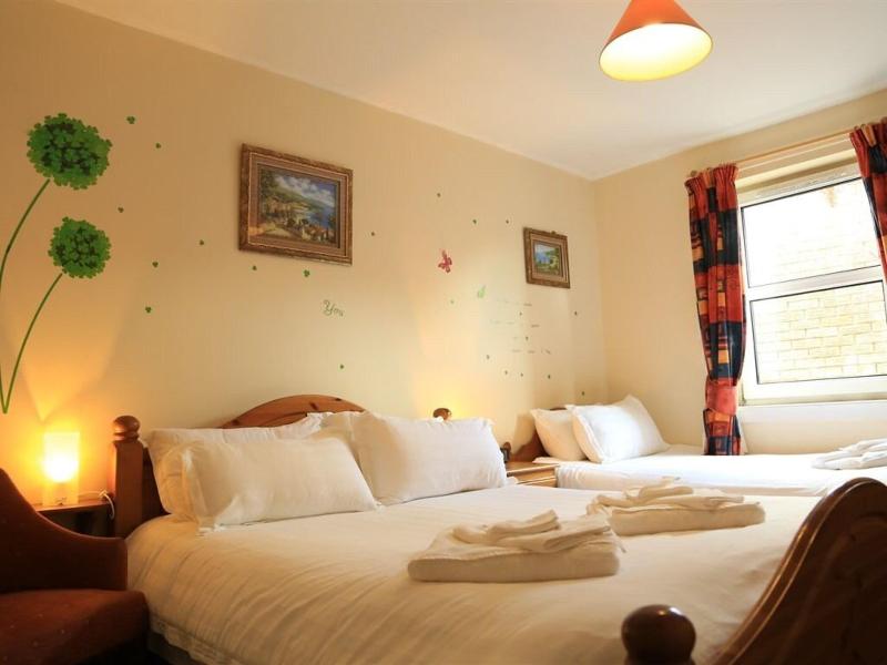 Twin Lions Hotel - Aktivite