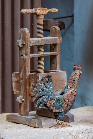Zum Goldenen Hirsch fotoÄŸrafÄ±
