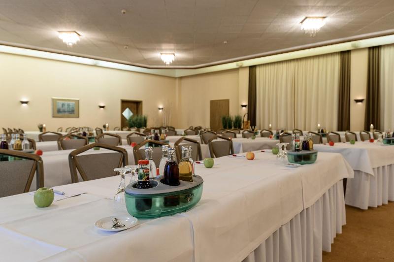 Waldhotel Berghof - Toplantı