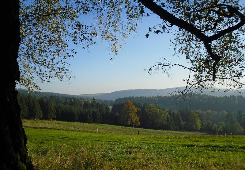 Hotel-Gasthof Thüringer Hof - Aktivite