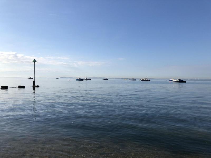 The Camelia Hotel & Restaurant - Oda