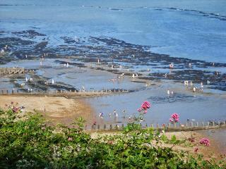 Eastbourne Riviera fotoÄŸrafÄ±