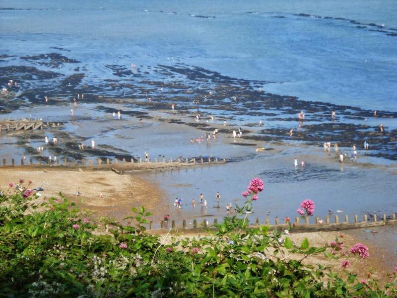 Eastbourne Riviera - Genel