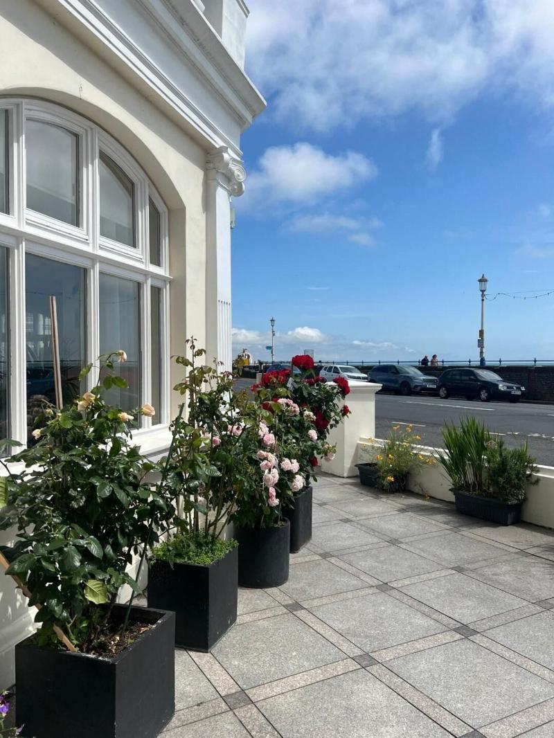 Eastbourne Riviera - Genel