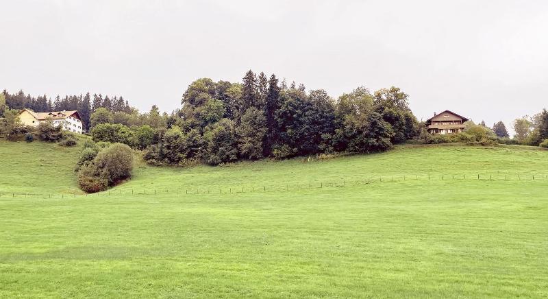 Eggensberger - Oda