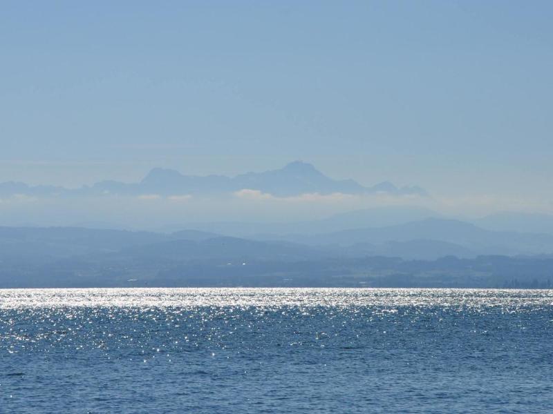 Traube am See - Genel
