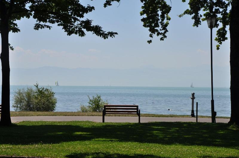 Traube am See - Genel