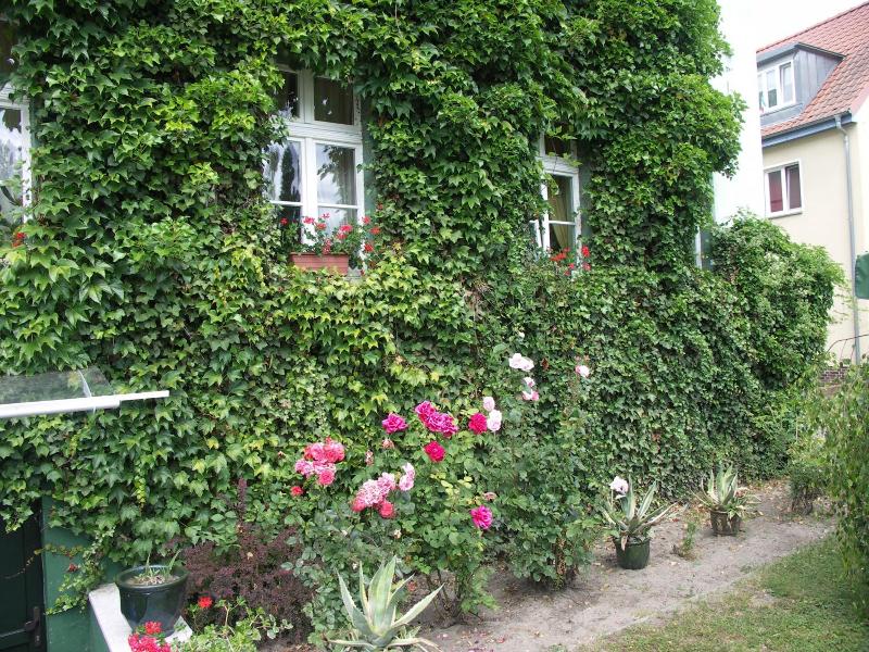 Zur Alten Oder - Genel