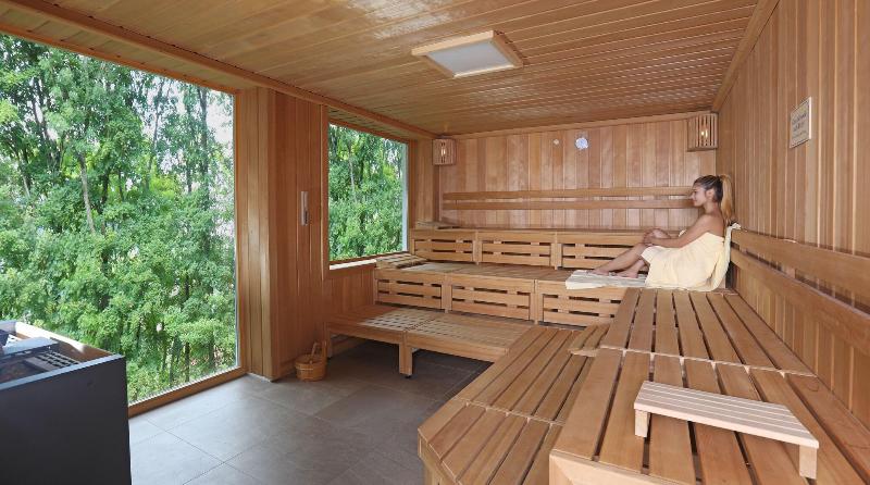 Gersfelder Hof & Apart-Hotel Sternkuppe - Aktivite