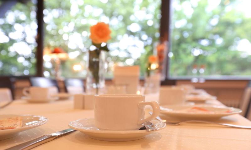 Gersfelder Hof & Apart-Hotel Sternkuppe - Restoran