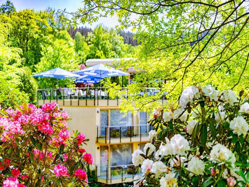 Villa Marburg im Park - Teras